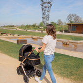 Enjoying a nice walk outside with the Ding Juna. Our 3-in-1 baby stroller incl. carseat. 💫⁣⁣
⁣⁣
☑️ 0-36 months / max. 15kg⁣⁣
☑️ Travelcot transforms to a seat⁣⁣
☑️ Incl. carseat⁣⁣
☑️ Adjustable backrest with a storage compartment⁣⁣
☑️ One window in the canopy and three in the backrest⁣⁣
☑️ Large shopping basket⁣⁣
☑️ Frontbumper is removable⁣⁣
☑️ Incl. cupholder⁣⁣
☑️ Incl. mosquito net⁣